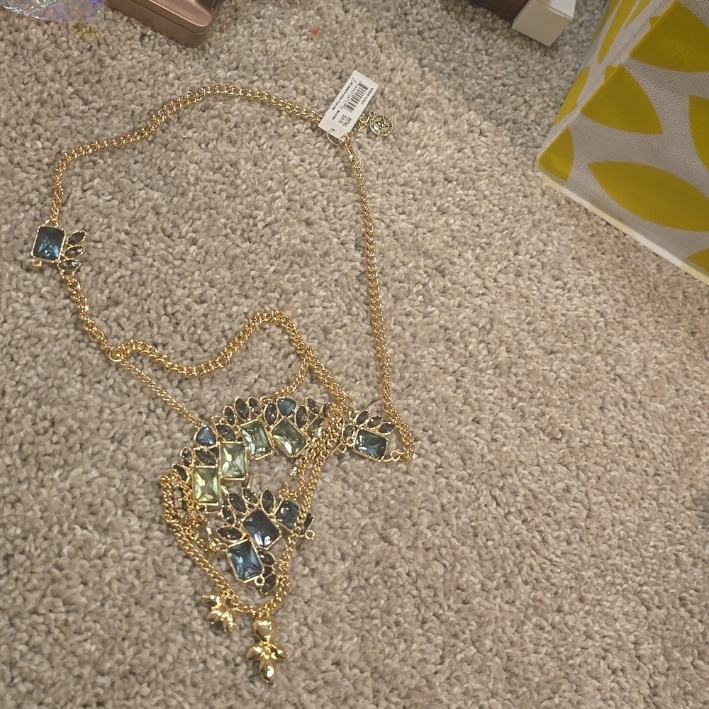 BCBG gorgeous necklace